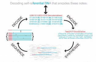 Coding and decoding from DNA storage