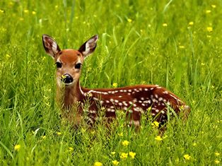 Divine seeker enjoying freedom waiting for God's bliss